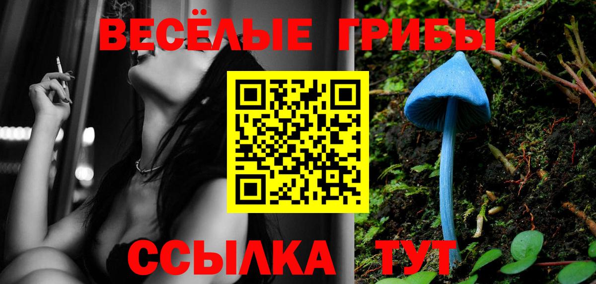 Псилоцибиновые грибы Psilocybine cubensis  Вход с VPN  Артёмовский 
