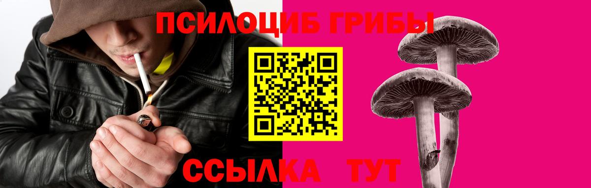 Галлюциногенные грибы Cubensis Артёмовский
